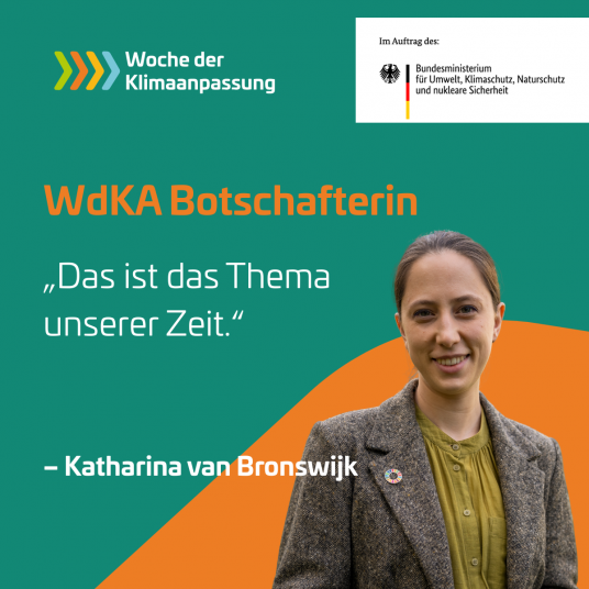 van Bronswijk van Bronswijk