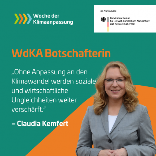 Sharepic Kemfert Sharepic Kemfert